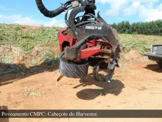 Povoamento CMPC: Cabeçote do Harvester .