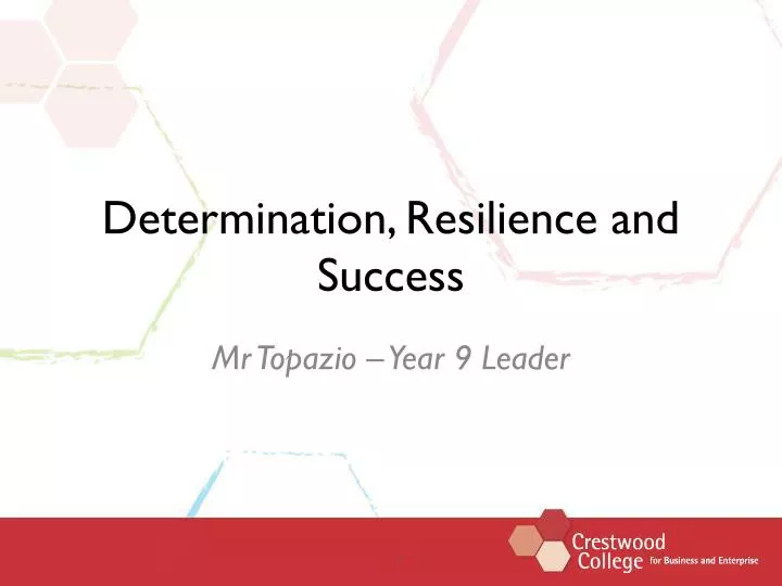 determination resilience and success