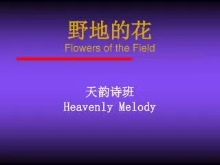 野地的花 Flowers of the Field