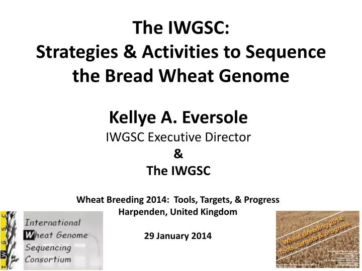 the iwgsc strategies activities to sequence the bread wheat genome