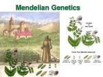 Gregor Mendel - slide 1
