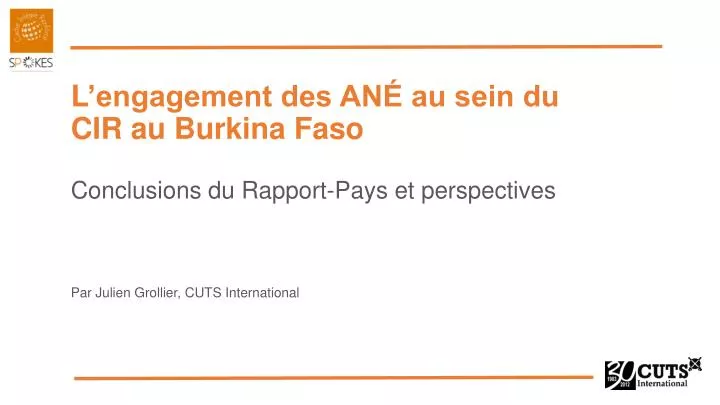 l engagement des an au sein du cir au burkina faso conclusions du rapport pays et perspectives