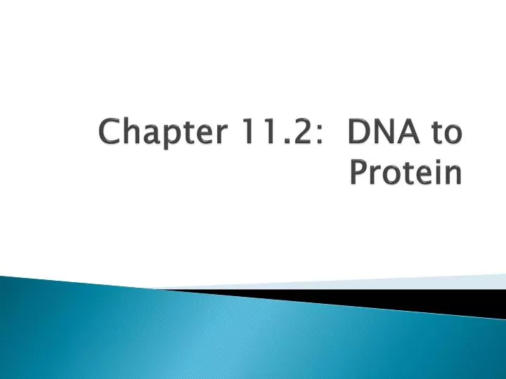 chapter 11 2 dna to protein
