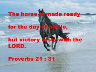 The horse is made ready for the day of battle, but victory rests with the LORD. Proverbs 21 : 31