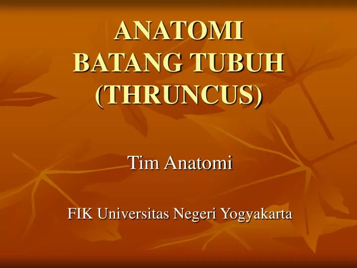 anatomi batang tubuh thruncus