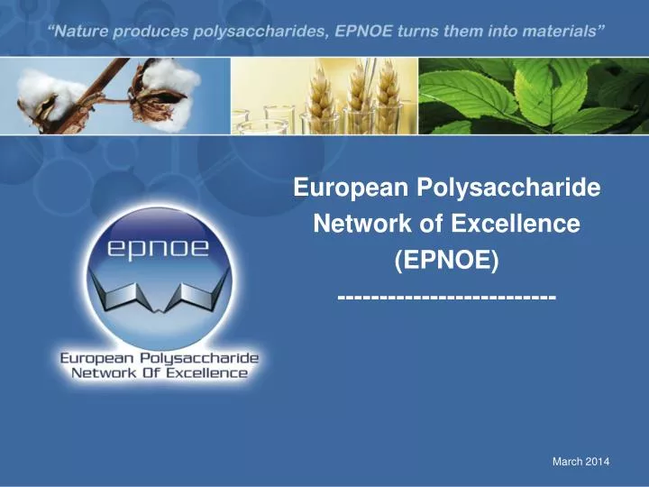 european polysaccharide network of excellence epnoe