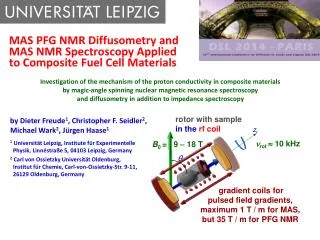 MAS PFG NMR Diffusometry and MAS NMR Spectroscopy Applied to Composite Fuel Cell Materials