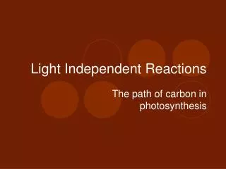 Light Independent Reactions