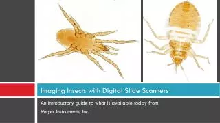 Imaging Insects with Digital Slide Scanners