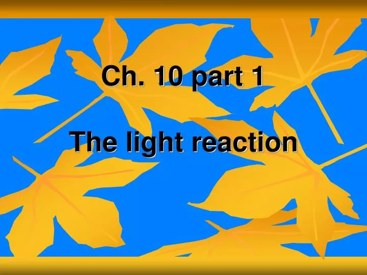 ch 10 part 1 the light reaction
