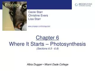 Chapter 6 Where It Starts – Photosynthesis (Sections 6.5 - 6.8)
