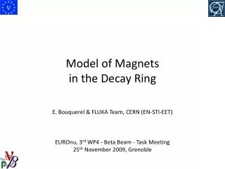 Model of Magnets in the Decay Ring