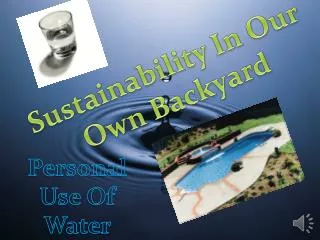 Sustainability In Our Own Backyard