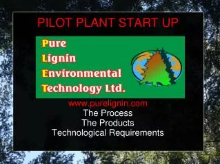PILOT PLANT START UP