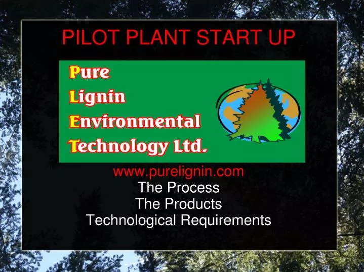 pilot plant start up