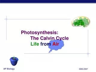Photosynthesis: 	 The Calvin Cycle 		Life from Air
