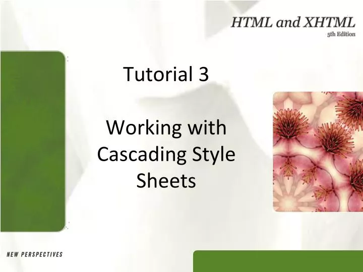 tutorial 3 working with cascading style sheets