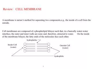 Review: CELL MEMBRANE