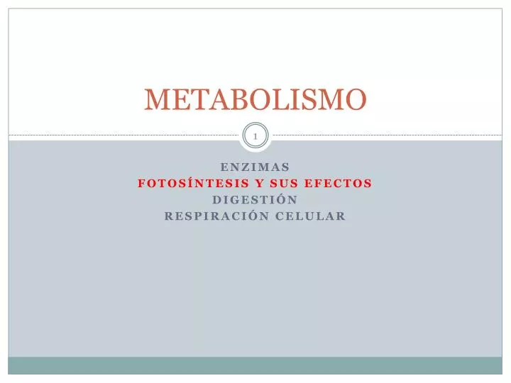 metabolismo
