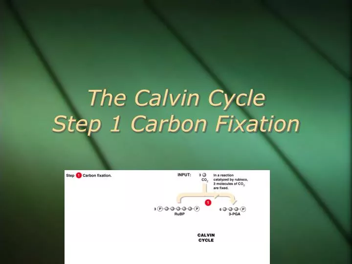 the calvin cycle step 1 carbon fixation