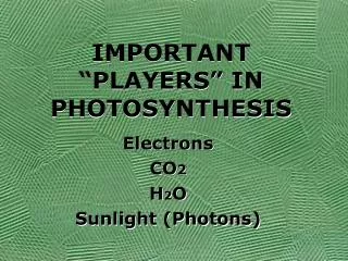 IMPORTANT “PLAYERS” IN PHOTOSYNTHESIS