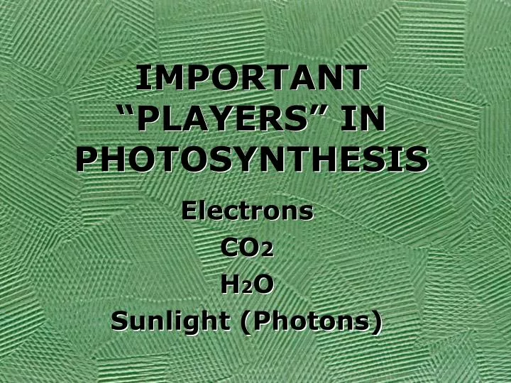 important players in photosynthesis