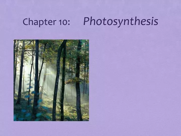 chapter 10 photosynthesis