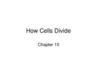 How Cells Divide