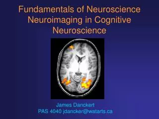 Fundamentals of Neuroscience Neuroimaging in Cognitive Neuroscience