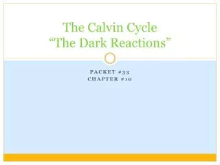 The Calvin Cycle “The Dark Reactions”