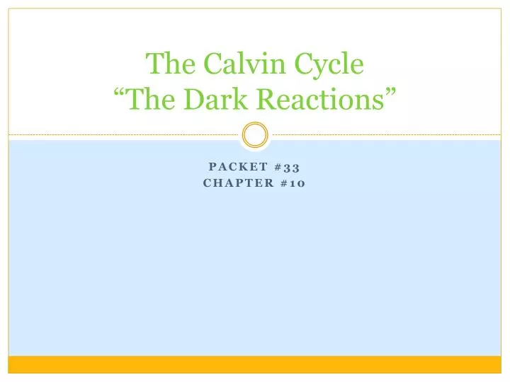 the calvin cycle the dark reactions