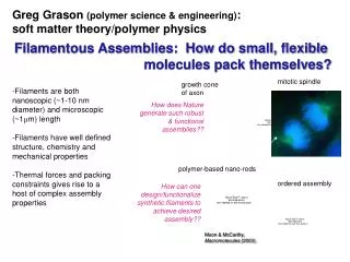 Greg Grason (polymer science &amp; engineering) : soft matter theory/polymer physics