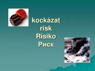 kockázat risk Risiko Риск