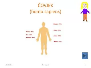 ČOVJEK ( homo sapiens)
