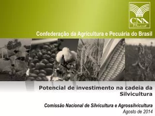 Comissão Nacional de Silvicultura e Agrossilvicultura Agosto de 2014