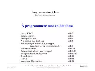 programmere mot en database