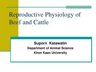 Reproductive Physiology of Beef and Cattle