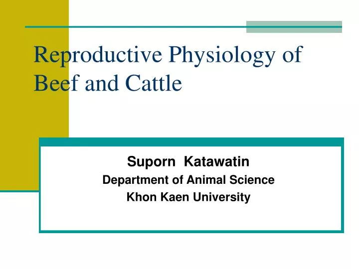 reproductive physiology of beef and cattle
