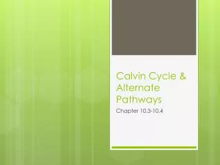 Calvin Cycle &amp; Alternate Pathways