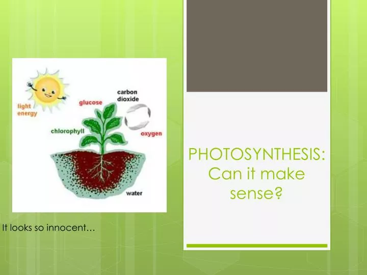 photosynthesis can it make sense