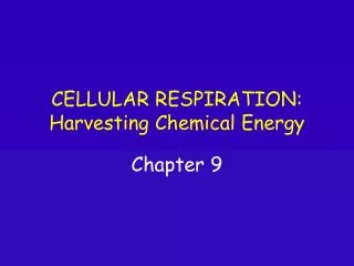 CELLULAR RESPIRATION: Harvesting Chemical Energy