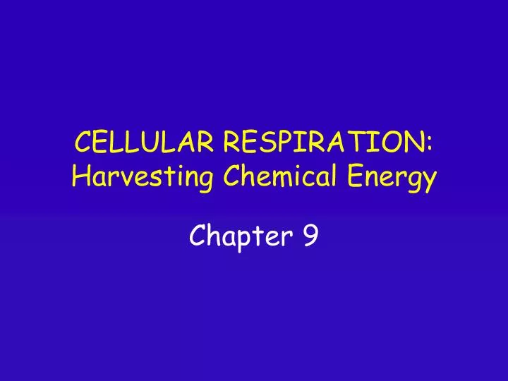 cellular respiration harvesting chemical energy