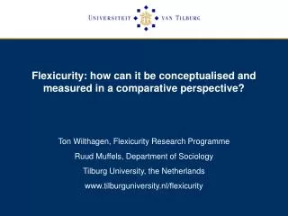 Flexicurity: how can it be conceptualised and measured in a comparative perspective?