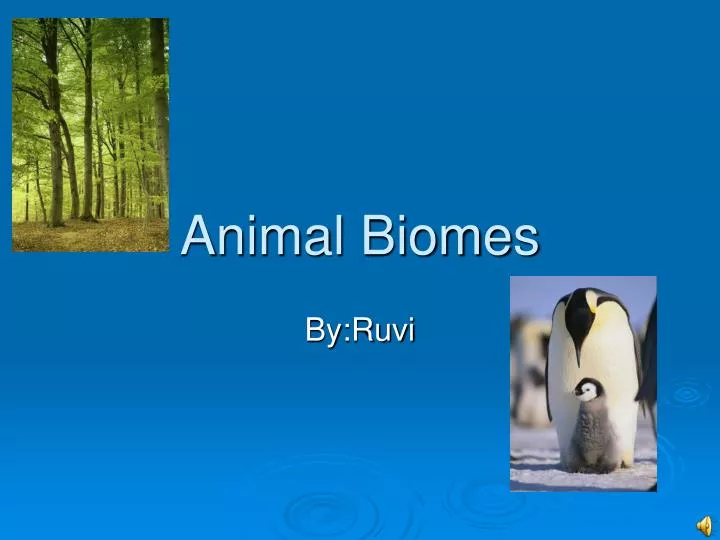 animal biomes
