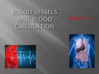 Blood Vessels and Blood Circulation