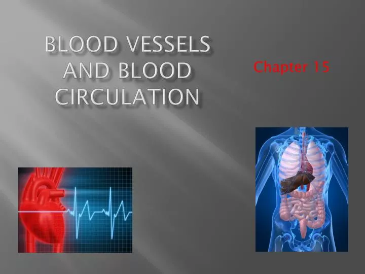 blood vessels and blood circulation