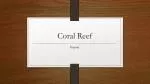 Coral Reef - slide 1