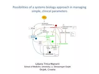 Possibilities of a systems biology approach in managing simple, clinical parameters