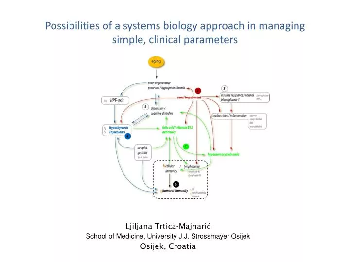 possibilities of a systems biology approach in managing simple clinical parameters