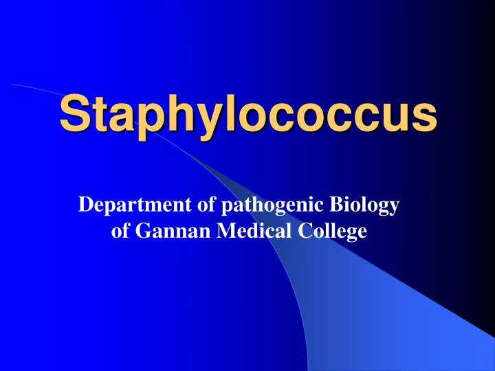 staphylococcus